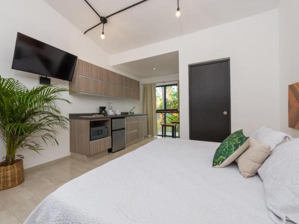 Stay Tropical : photo 8 de la chambre studio