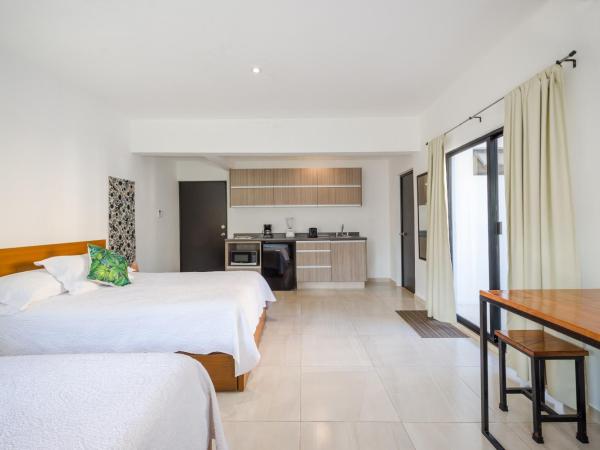 Stay Tropical : photo 10 de la chambre studio double deluxe