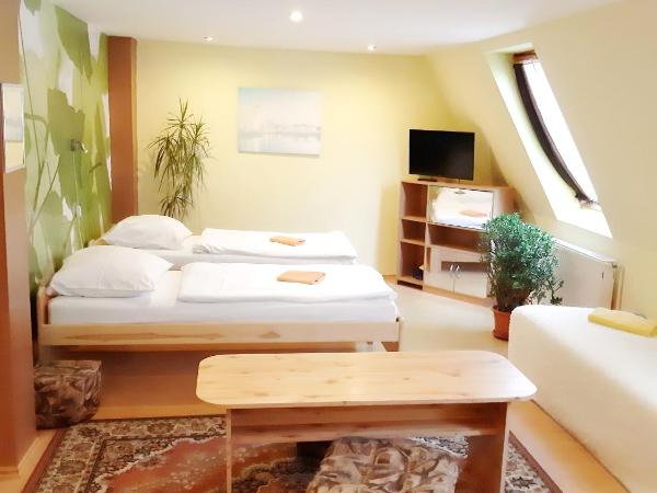 Penzion Havaj : photo 3 de la chambre quadruple room with extra bed and garden view