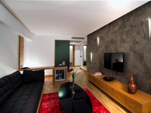 Ilayda Avantgarde Hotel : photo 4 de la chambre suite