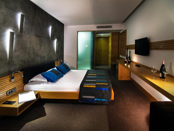 Ilayda Avantgarde Hotel : photo 2 de la chambre chambre double – vue sur ville