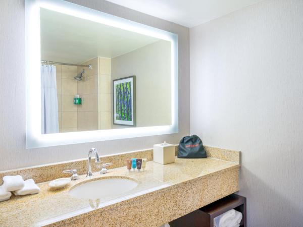 Crowne Plaza New Orleans French Qtr - Astor : photo 3 de la chambre chambre lit king-size standard