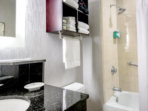 Crowne Plaza New Orleans French Qtr - Astor : photo 5 de la chambre chambre standard avec 2 lits queen-size
