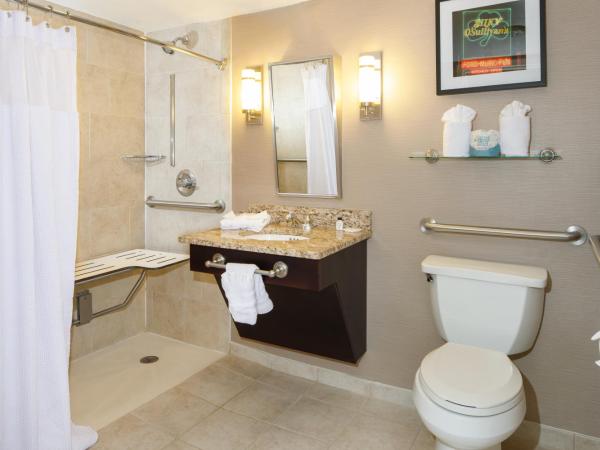 Crowne Plaza Memphis Downtown, an IHG Hotel : photo 3 de la chambre chambre lit king-size standard avec baignoire accessible aux personnes à mobilité réduite