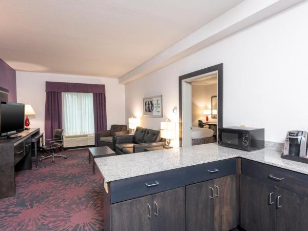 Holiday Inn Express & Suites Columbus - Polaris Parkway / COLUMBUS, an IHG Hotel : photo 4 de la chambre suite 1 chambre lit king-size