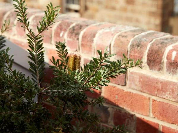 Moss Hotel : photo 2 de la chambre chambre lit king-size supérieure avec balcon - grove