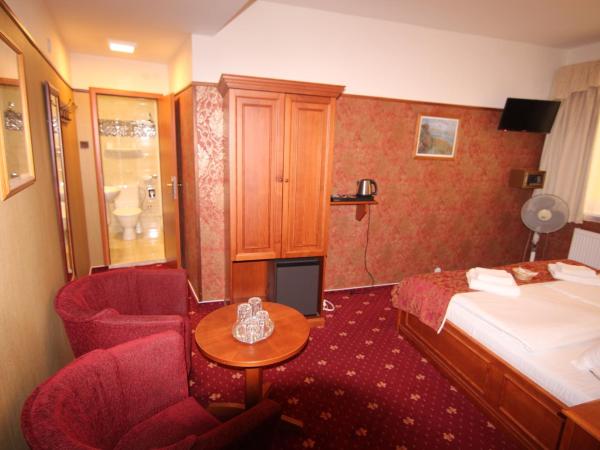 Old Prague Hotel : photo 3 de la chambre chambre double ou lits jumeaux Économique 