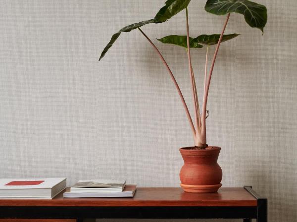 Noli Sörnäinen : photo 9 de la chambre design-studio by samuji