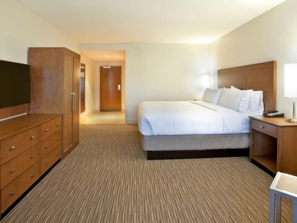 Holiday Inn Express Hotel & Suites Austin Downtown - University, an IHG Hotel : photo 5 de la chambre chambre lit king-size standard