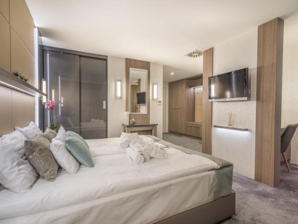 Hotel Zena Beauty & Shopping Center : photo 9 de la chambre chambre supérieure