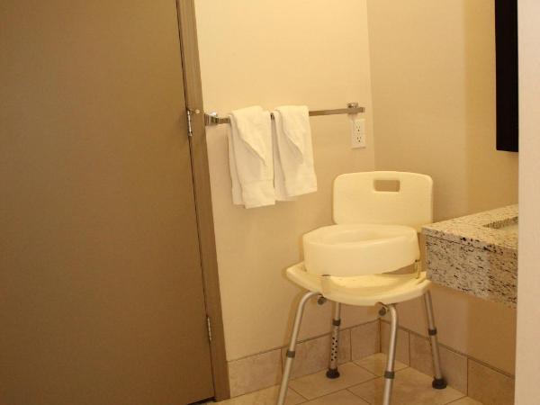 Ramada by Wyndham Edmonton South : photo 3 de la chambre chambre avec 2 lits queen-size - accessible aux personnes à mobilité réduite - non-fumeurs 