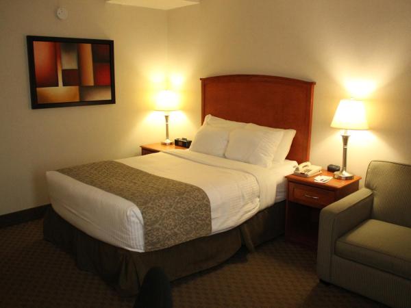 Ramada by Wyndham Edmonton South : photo 2 de la chambre chambre lit queen-size deluxe