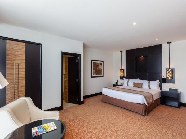 Holiday Inn Dubai Al Barsha, an IHG Hotel : photo 7 de la chambre chambre king standard avec vue sur ville