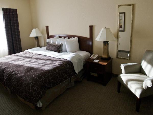 Staybridge Suites San Antonio Sea World, an IHG Hotel : photo 3 de la chambre suite 1 chambre lit king-size - non-fumeurs