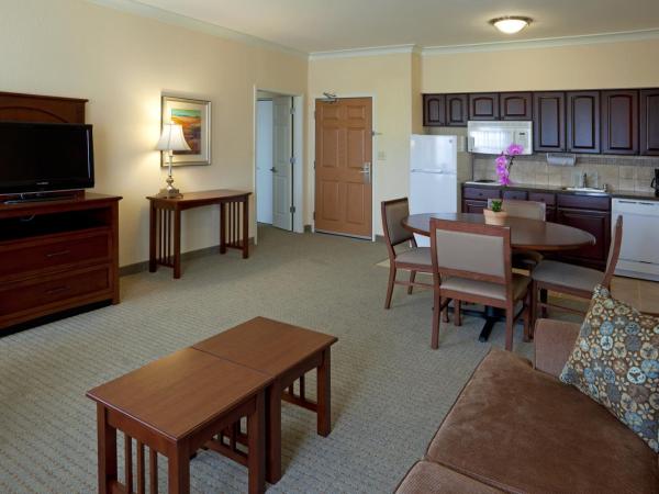 Staybridge Suites San Antonio Sea World, an IHG Hotel : photo 1 de la chambre suite 1 chambre lit king-size avec canapé-lit