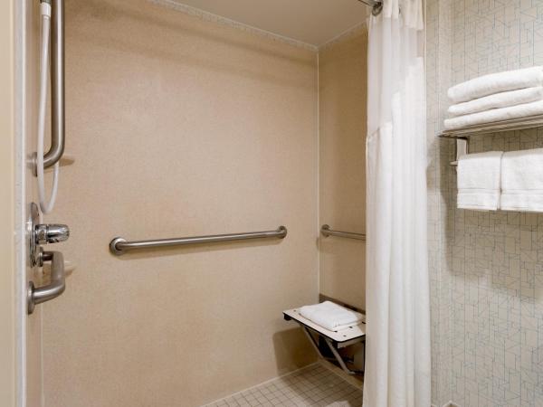 Holiday Inn Express - Times Square, an IHG Hotel : photo 3 de la chambre chambre double avec douche accessible aux personnes à mobilité réduite - installations pour personnes malentendantes 