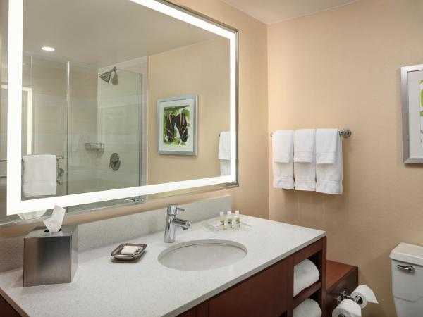 Holiday Inn Austin -Town Lake, an IHG Hotel : photo 2 de la chambre chambre standard