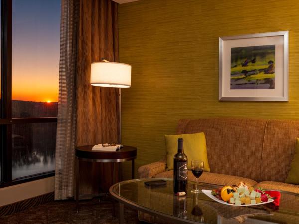 Holiday Inn Austin -Town Lake, an IHG Hotel : photo 4 de la chambre chambre lit king-size deluxe