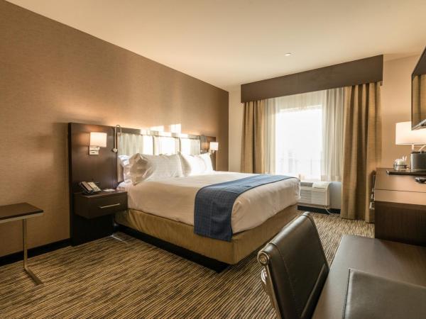 Holiday Inn Austin Airport, an IHG Hotel : photo 4 de la chambre chambre lit king-size standard