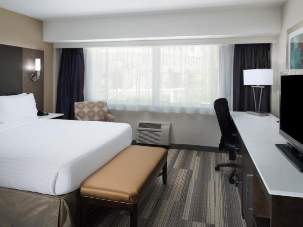 Holiday Inn Express - Downtown San Diego, an IHG Hotel : photo 2 de la chambre chambre lit queen-size - accessible aux personnes malentendantes - non-fumeurs