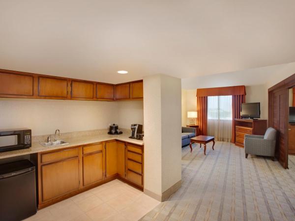 Holiday Inn Dallas Market Center, an IHG Hotel : photo 1 de la chambre suite 1 chambre lit king-size