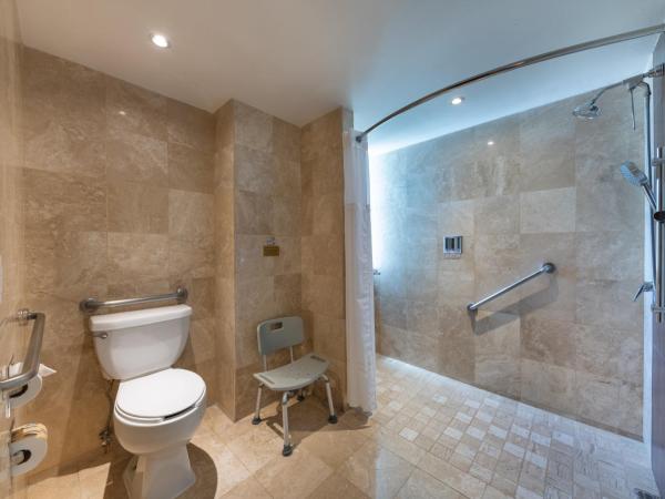 Holiday Inn Guadalajara Select, an IHG Hotel : photo 1 de la chambre chambre lit king-size standard - accessible aux personnes à mobilité réduite