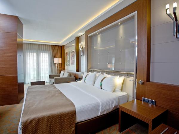 Holiday Inn Ankara-Kavaklidere, an IHG Hotel : photo 5 de la chambre chambre lit king-size avec baignoire spa