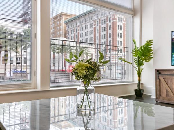 1 and 2 BR Private Condos Steps Away From French Quarter : photo 6 de la chambre appartement 2 chambres