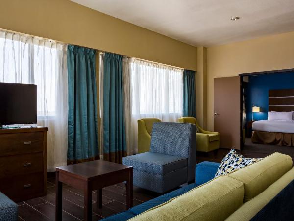 Holiday Inn Houston Downtown, an IHG Hotel : photo 3 de la chambre suite 1 chambre lit king-size