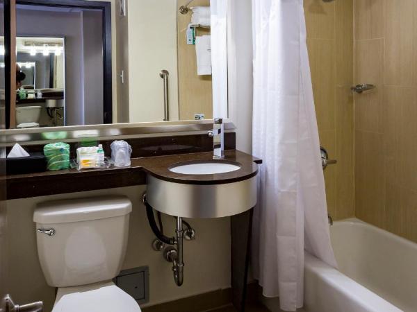 Holiday Inn Houston Downtown, an IHG Hotel : photo 4 de la chambre chambre lit king-size standard