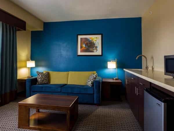 Holiday Inn Houston Downtown, an IHG Hotel : photo 6 de la chambre suite 1 chambre lit king-size
