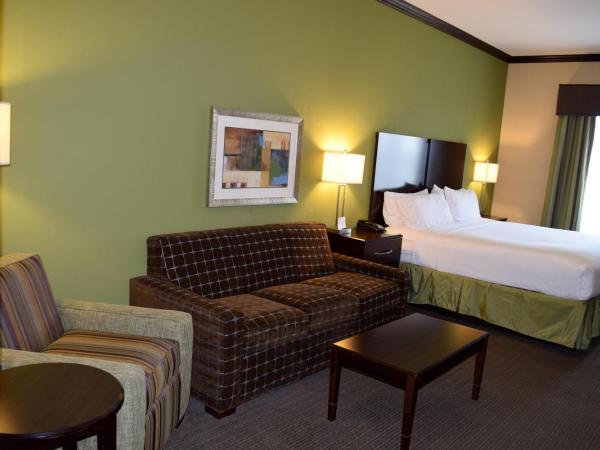 Holiday Inn Houston West Energy Corridor, an IHG Hotel : photo 5 de la chambre chambre lit king-size