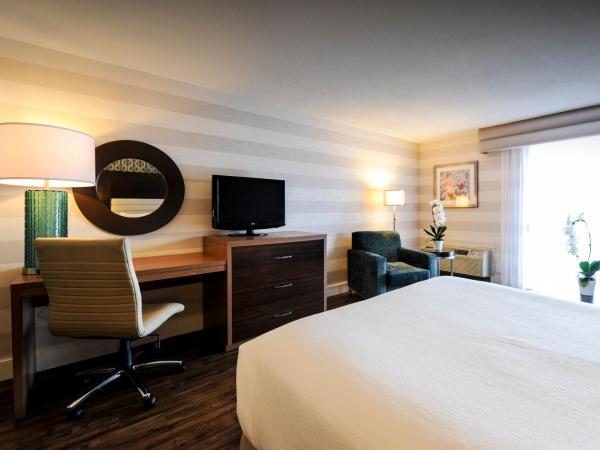 Holiday Inn Niagara Falls-By the Falls, an IHG Hotel : photo 2 de la chambre chambre standard