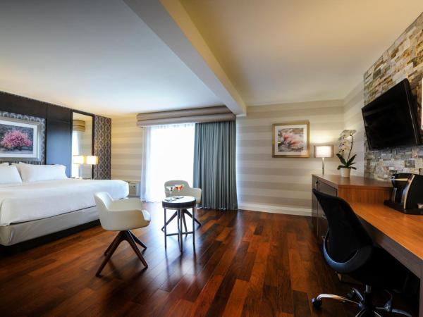 Holiday Inn Niagara Falls-By the Falls, an IHG Hotel : photo 2 de la chambre chambre lit king-size avec bain à remous