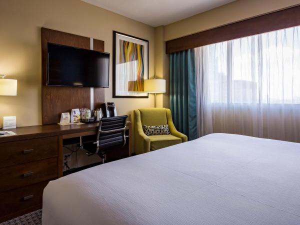 Holiday Inn Houston Downtown, an IHG Hotel : photo 10 de la chambre chambre lit king-size standard