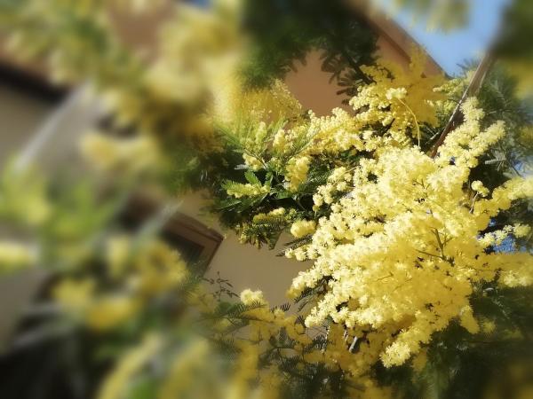 Dimora Del Magnifico : photo 2 de la chambre chambre triple avec salle de bains privative