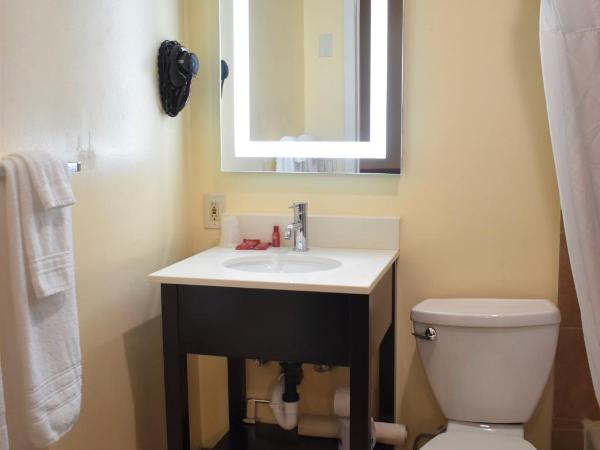 SureStay Hotel by Best Western Portland City Center : photo 5 de la chambre chambre lit queen-size - accessible aux personnes à mobilité réduite