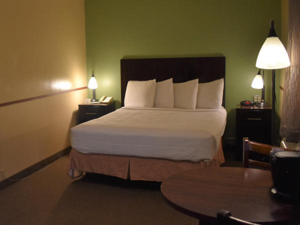 SureStay Hotel by Best Western Portland City Center : photo 3 de la chambre chambre lit queen-size - accessible aux personnes à mobilité réduite