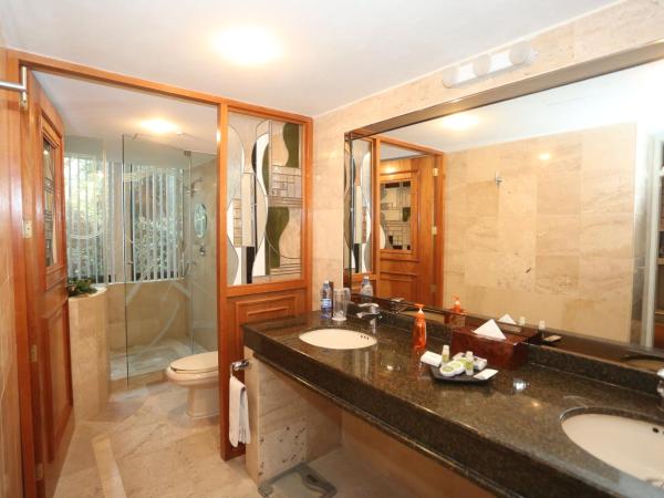 Hotel Park Nilo Reforma : photo 5 de la chambre chambre lit king-size deluxe