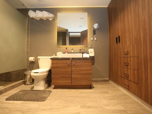 Hotel Park Nilo Reforma : photo 6 de la chambre chambre lit king-size deluxe