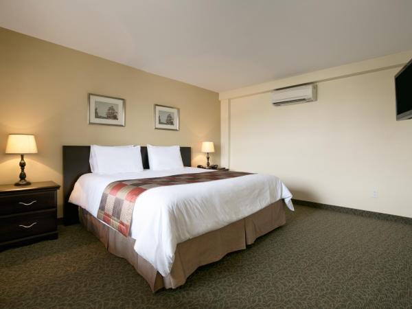 Days Inn by Wyndham Montreal East : photo 3 de la chambre chambre lit queen-size - non-fumeurs