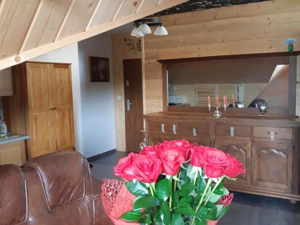 Apartamenty i pokoje gościnne Nowita : photo 2 de la chambre appartement supérieur