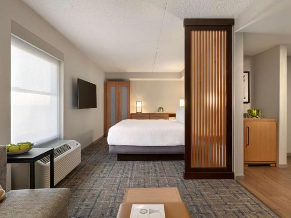Hyatt Place Tucson Central : photo 1 de la chambre chambre lit king-size avec canapé-lit - Étage supérieur