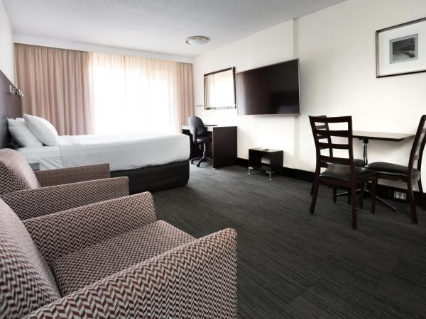 St Ives Apartments : photo 4 de la chambre studio double deluxe