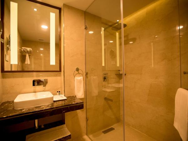 S Hotels Chennai : photo 7 de la chambre studio