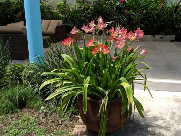 Casa Xcanatun : photo 9 de la chambre chambre double deluxe