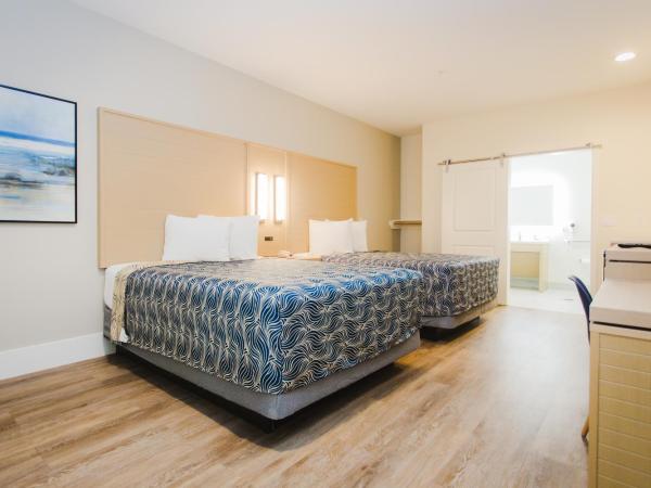 Palace Inn Blue Federal Road : photo 1 de la chambre chambre double deluxe