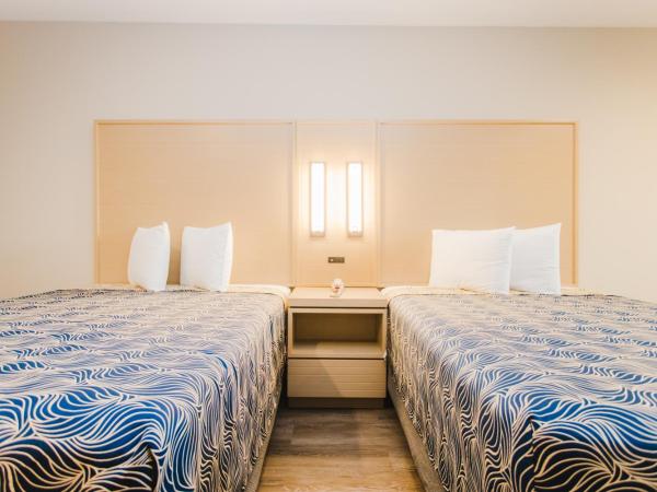 Palace Inn Blue Federal Road : photo 2 de la chambre chambre double deluxe