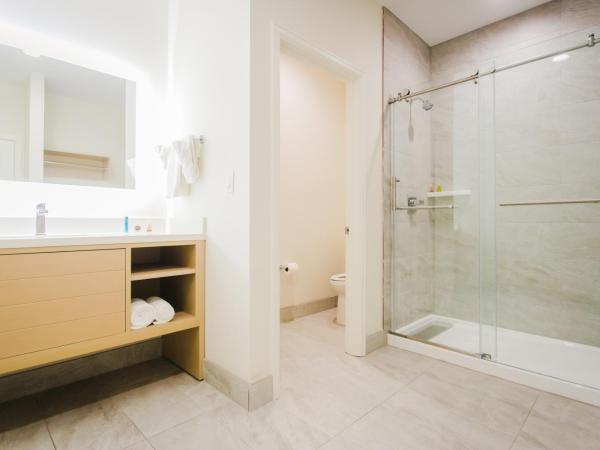 Palace Inn Blue Federal Road : photo 4 de la chambre chambre lit king-size deluxe