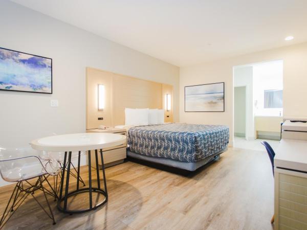 Palace Inn Blue Federal Road : photo 3 de la chambre chambre lit king-size deluxe